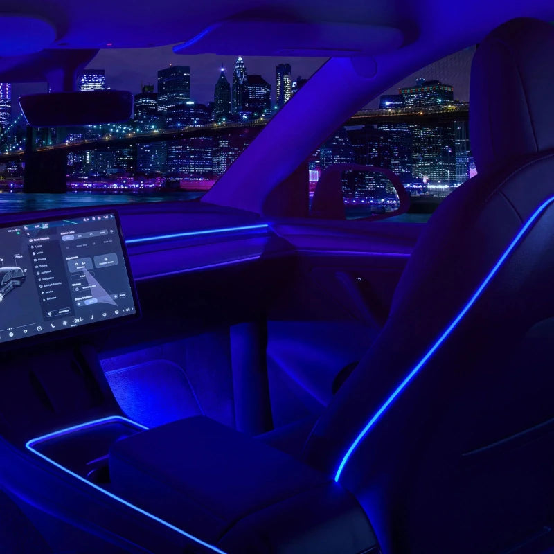 Customizable Ambient Lighting System For Car