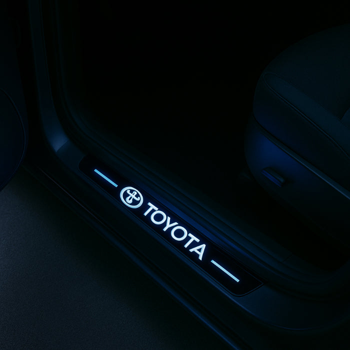 LED Illuminated Door Sills
